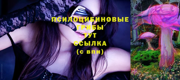 тгк Балахна
