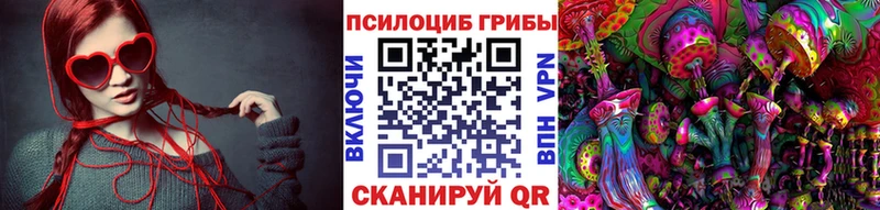 Галлюциногенные грибы мицелий  МЕГА ссылка  Брюховецкая  купить закладку 